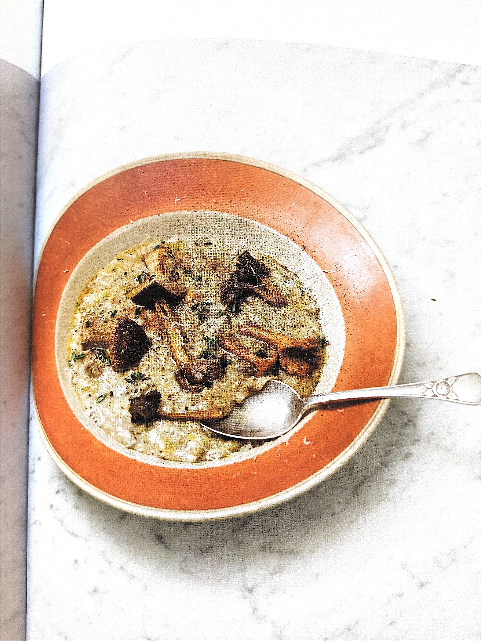Mushroom porridge